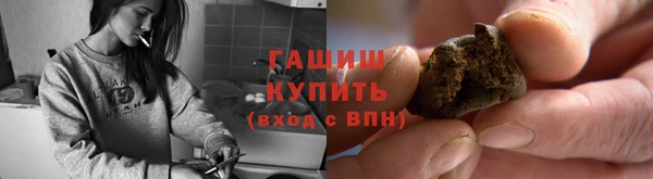 мдпв Козельск