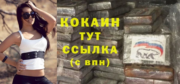 мдпв Козельск