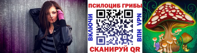 Псилоцибиновые грибы мицелий  Купить закладки  Буйнакск 